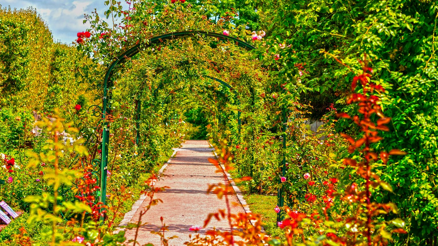 Photo d’ambiance de jardin